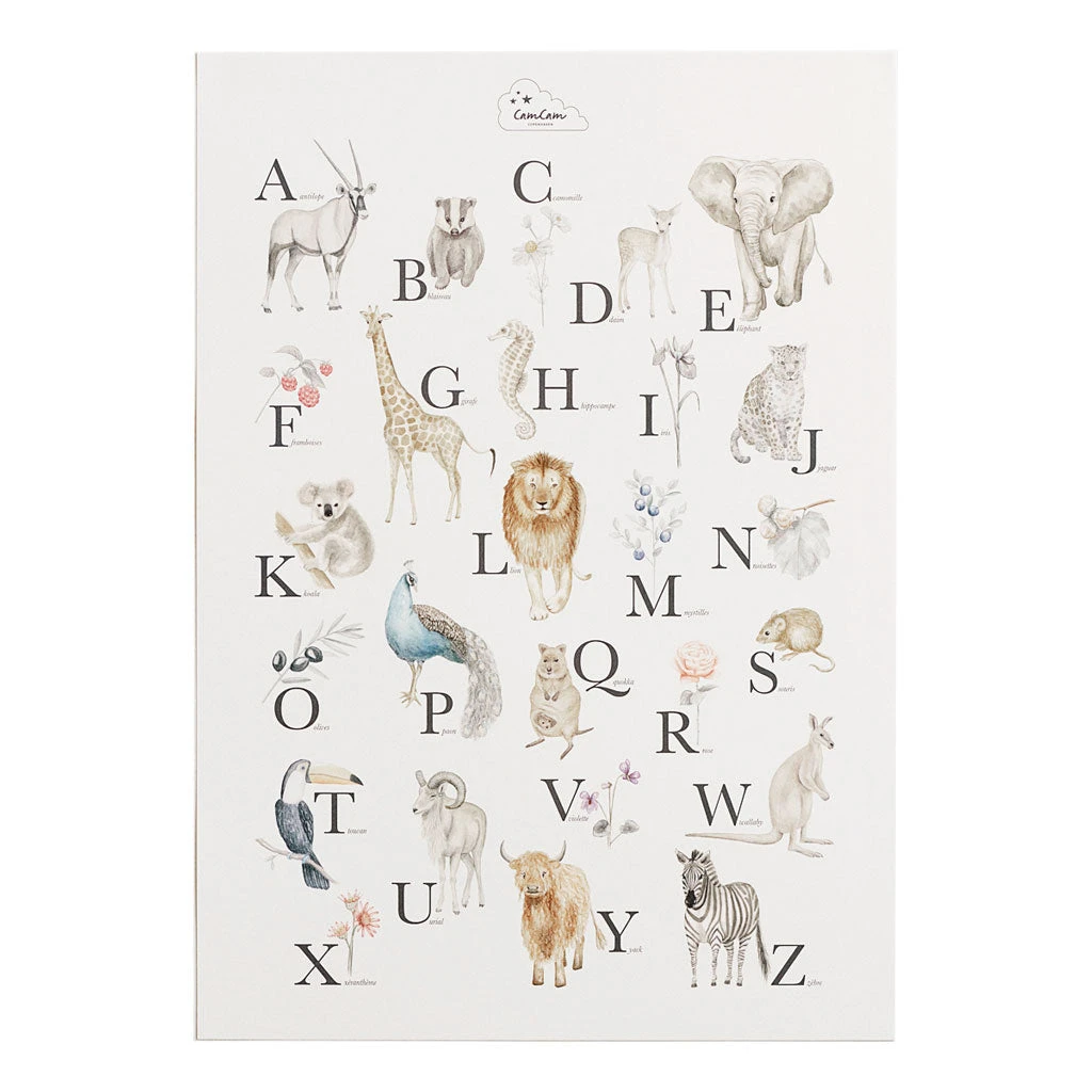 Alphabet Poster - French Version 3 Alphabet Poster - French Version