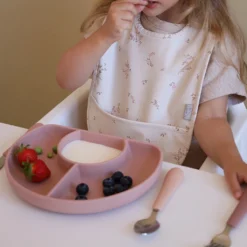 Bib W/ Pocket, 2-pack - Ashley 13 Bib W/ Pocket, 2-pack - Ashley -Baby Supply Store 1717 FlowerDividedPlate 22 DustyRose 11