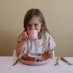 Bib W/ Pocket, 2-pack - Ashley 10 Bib W/ Pocket, 2-pack - Ashley -Baby Supply Store 1717 FlowerDividedPlate 22 DustyRose 12