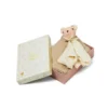 Cuddle Cloth Gift Box - Ashley -Baby Supply Store 3005 Cuddle Cloth Gift Box P86 Ashley
