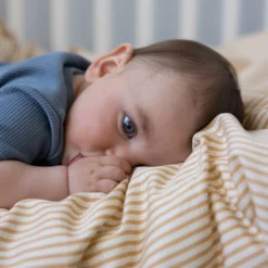 Bedding, Baby, 70x100cm - GOTS - Oatfield -Baby Supply Store 5712805141325 11